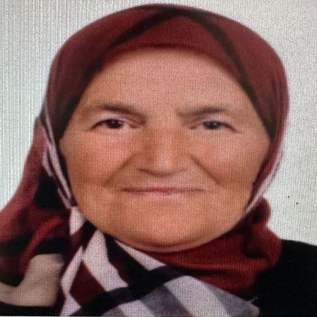 Kayıp kadını arama çalışmalarında 2'nci gün