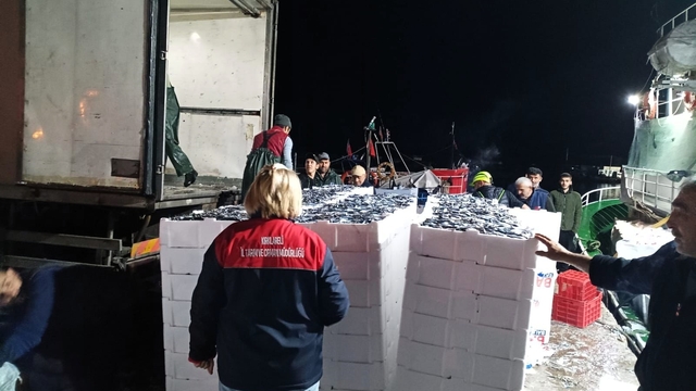 Demirköy'de hamsi denetimi