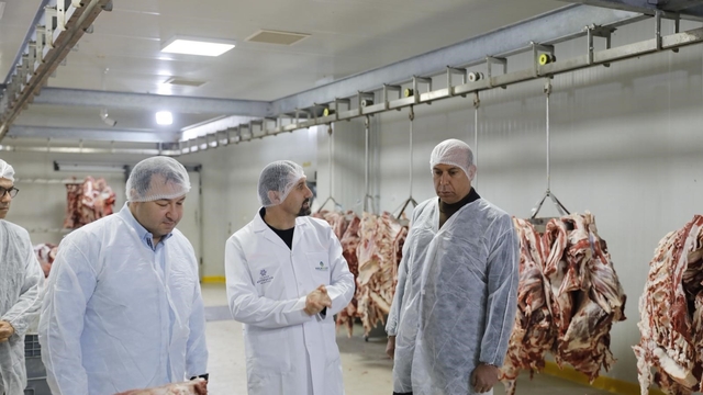 Büyükşehir'in Halk Ege Et modeli Türkiye'ye örnek oluyor
Halk Ege Et başarısı diğer büyükşehirlere ilham veriyor