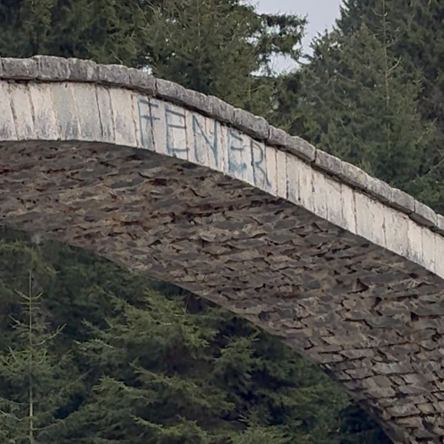 Rize'de tarihi kemer köprüye sprey boya ile zarar verildi