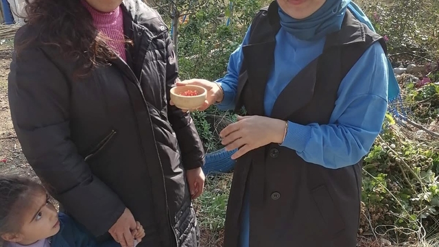 Osmaniye'de yüksek getirili safrana ilgi artıyor