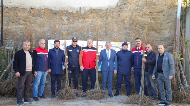 Köşklü üreticilere kestane fidanı dağıtıldı