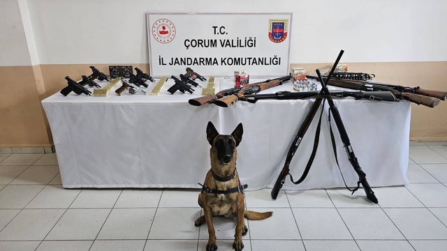 Çorum jandarmasından 'düğün magandaları'na operasyon : 11 gözaltı