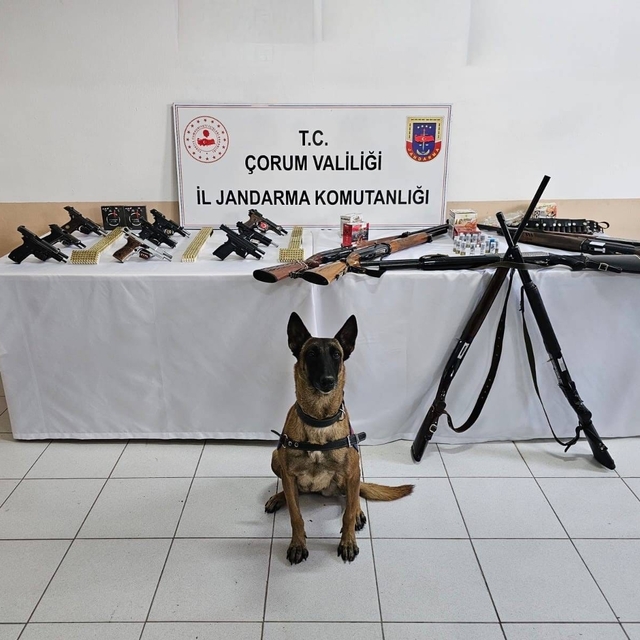 Çorum jandarmasından 'düğün magandaları'na operasyon : 11 gözaltı