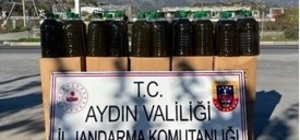 Köşk’te 500 kilogram sahte zeytinyağı yakalandı