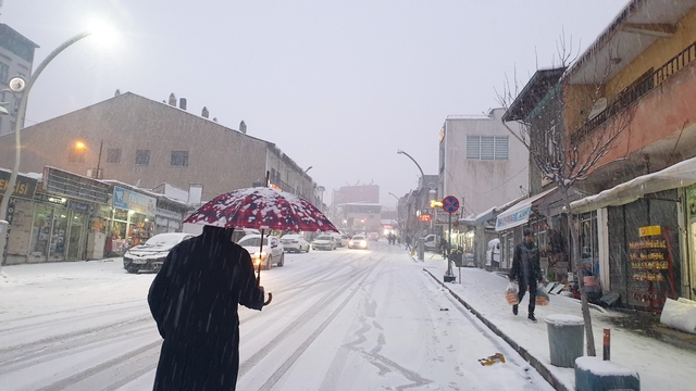 Başkale'de kar yağışı etkili oldu
