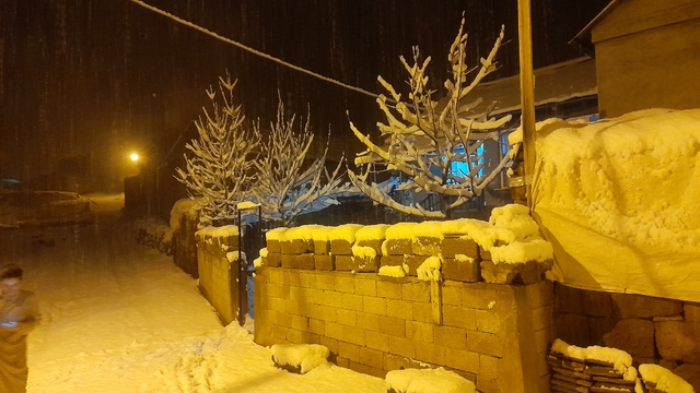 Ahlat'ta kar yağışı