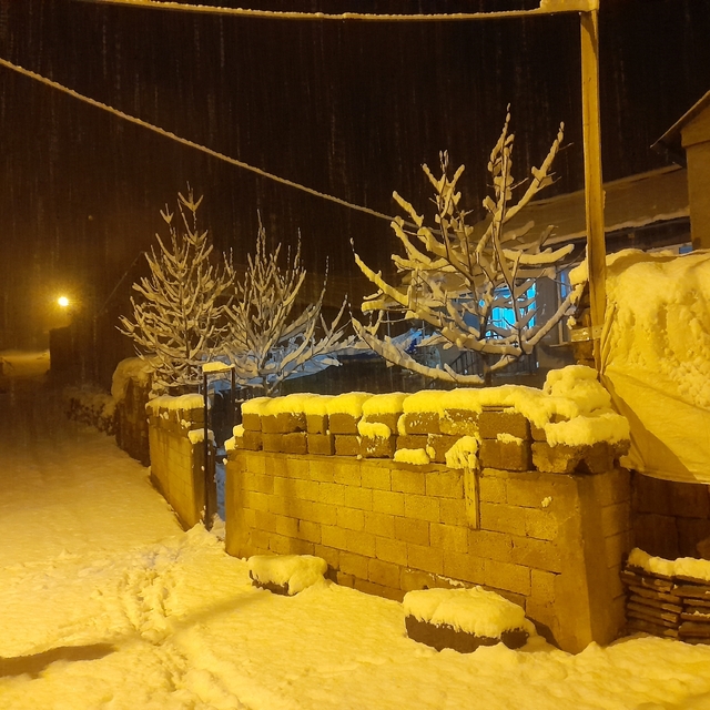 Ahlat'ta kar yağışı