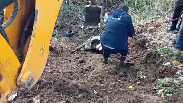 Hatay'da dereye düşen inek itfaiye ekipleri tarafından kurtarıldı