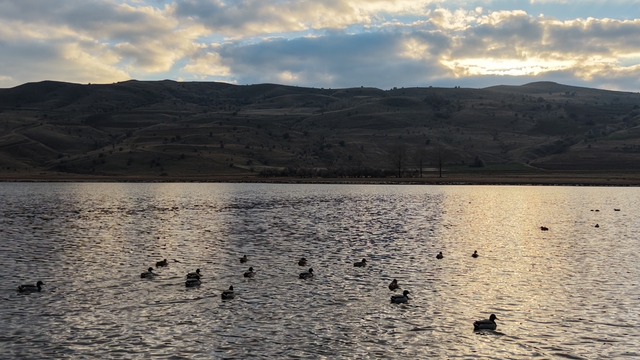 Kuruyunca kuşların da terk ettiği göl, yağışlarla yeniden 'hayat' buldu