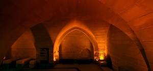 Gaziantep'teki tarihi kasteller fotoğraf tutkunlarını cezbediyor