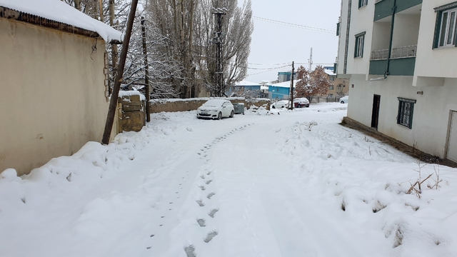 Başkale'de kar etkili oldu