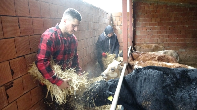 Almanya'dan köyüne döndü, çobanlık yapmaya başladı
"Almanya'da robot olacağıma köyümde çoban olurum" dedi