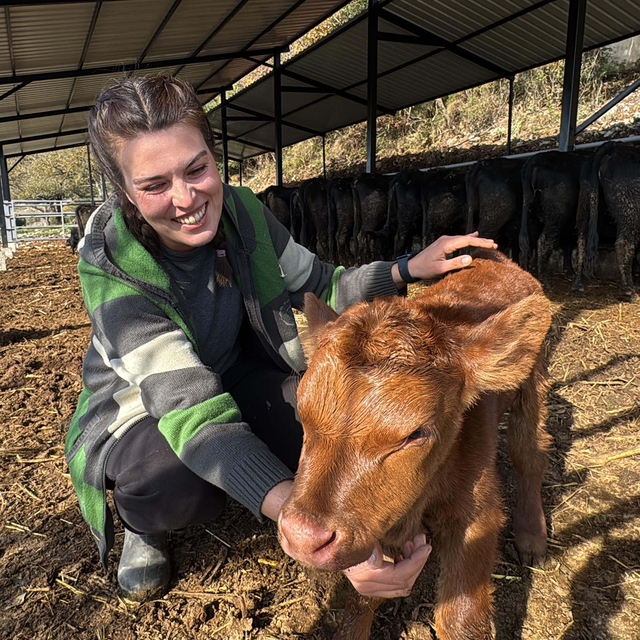 Bakanlık projesiyle hayvancılığa başlayan Ayşegül: Şimdiden 7 buzağım oldu...
