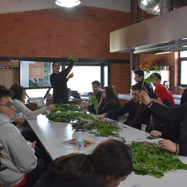 Liseliler, gıda krizine karşı yenilebilir otları tanıyor