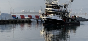 Tekirdağ'da istavrit bereketi sürüyor