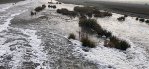 Dicle Nehri’nden ‘köpük’ akıyor