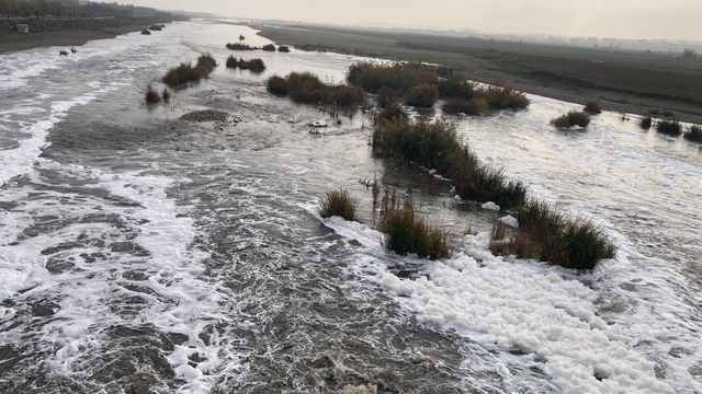 Dicle Nehri'nden 'köpük' akıyor