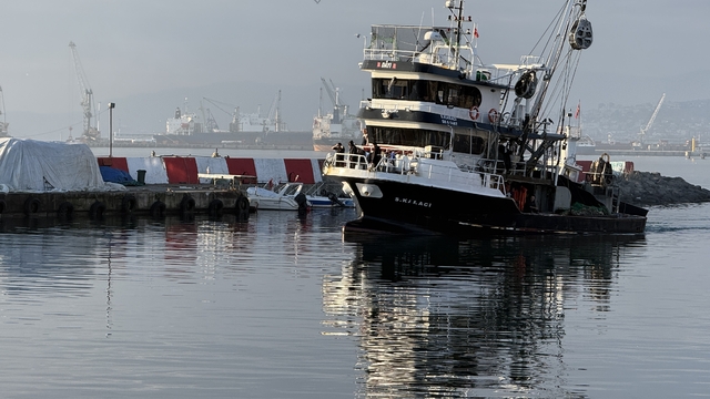Tekirdağ'da istavrit bereketi sürüyor
