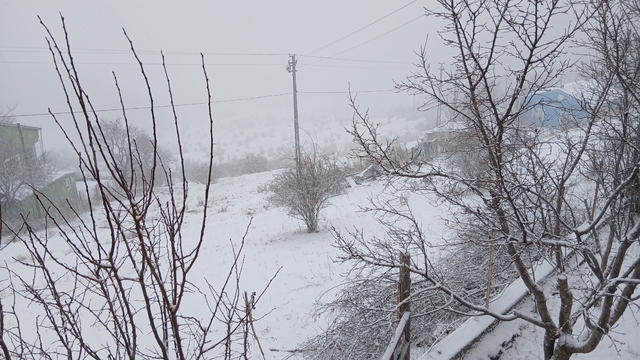 Posof'ta kar yağışı etkili oluyor