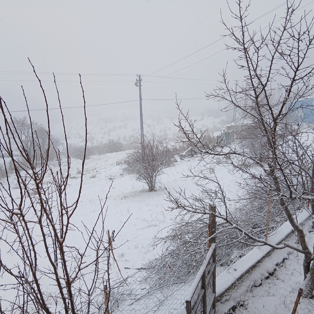 Posof'ta kar yağışı etkili oluyor