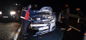 Mardin'de otomobilin çarptığı at telef oldu