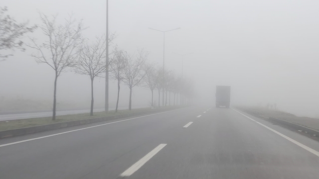 Bingöl'de yoğun sis etkili oldu