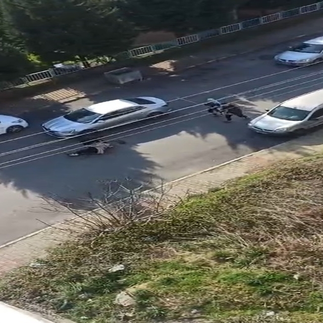 Boşandığı kadını sokak ortasında 15 yerinden bıçaklayan sanık için 21 yıla...