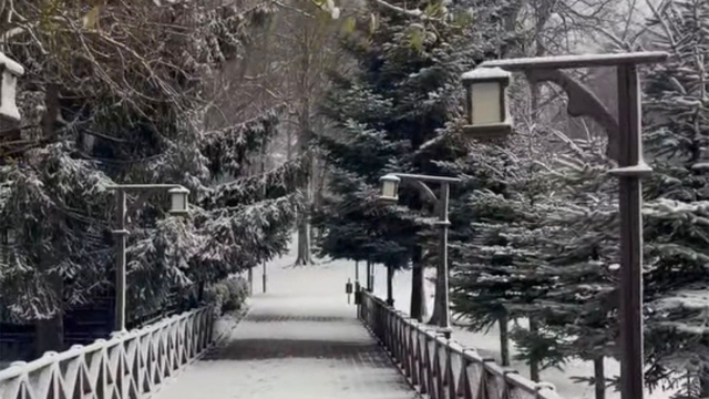 Ordu'nun yüksekleri beyaza büründü