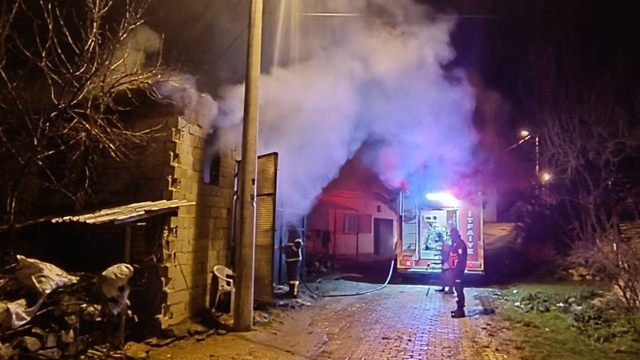 Uşak'ta samanlıkta çıkan yangında 5 koyun telef oldu