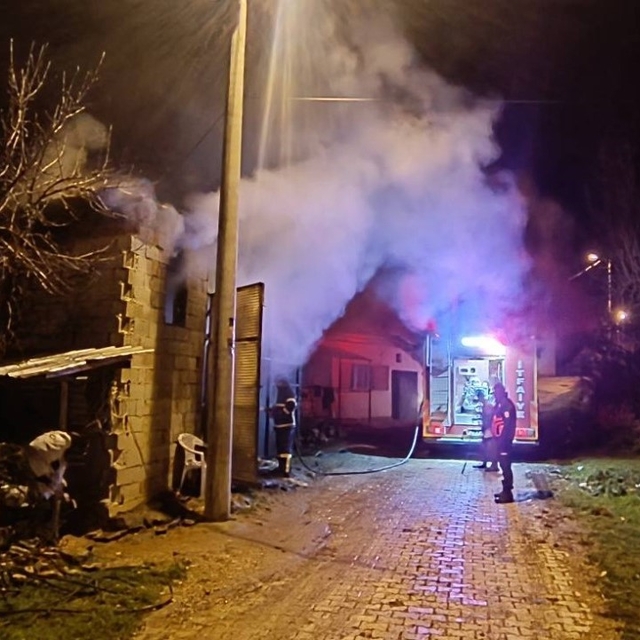 Uşak'ta samanlıkta çıkan yangında 5 koyun telef oldu