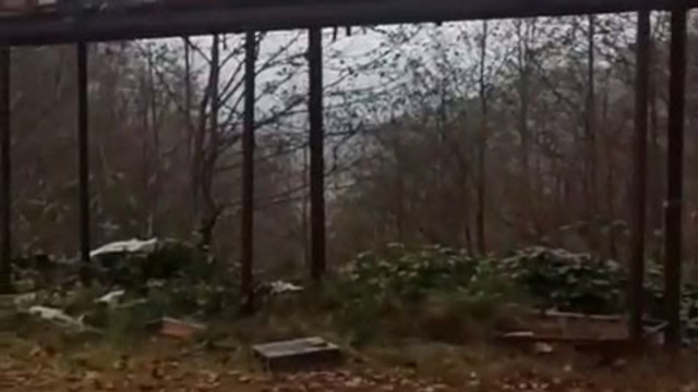 Rize'de ayılara demir profilli tezgah da çare olmadı