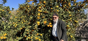 "Elmacı Dede" Hatay'dan aldığı mandalinaları  Mehmetçiğe ulaştıracak