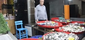 Bozdoğan'da balık tezgahlarının en çok tercih edilen çeşidi hamsi oldu