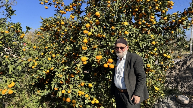"Elmacı Dede" Hatay'dan aldığı mandalinaları  Mehmetçiğe ulaştıracak