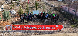 Mersinli şehit için oluşturulan hatıra ormanına yeni fidanlar dikildi 