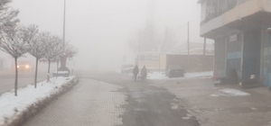 Başkale'de sis etkili oldu