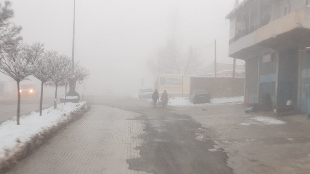 Başkale'de sis etkili oldu