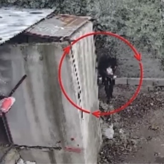 Osmaniye'de kümeslerden tavuk çalan şüpheli tutuklandı; hırsızlık anı kamer...