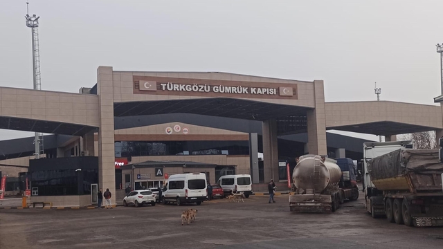 Gürcistan-Türkiye arasında geçişlerde 'zorunlu' sağlık sigortası