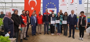 Adana’da topraksız marul yetiştiriciliği başladı