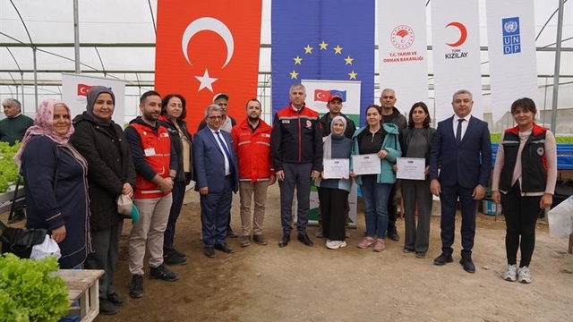 Adana'da topraksız marul yetiştiriciliği başladı