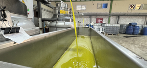 Muhtarın devlet desteğiyle kurduğu zeytinyağı üretim tesisi mahallelinin geçim kaynağı oldu