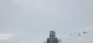 Van ve Hakkari'de ulaşımın sağlanamadığı 172 yerleşim yerinden 158'inin yolu açıldı