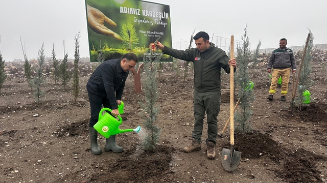 Baybatur'dan yanan orman alanlarına bin fidan