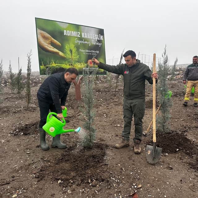 Baybatur'dan yanan orman alanlarına bin fidan