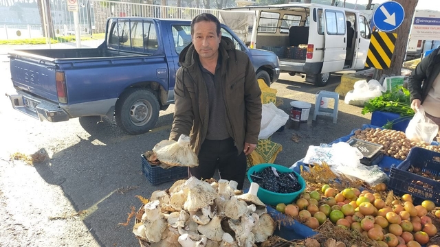 Aydın'daki dev mantarlar pazarda ilgi odağı oldu
Tanesi 400 ila 600 gram arası mantarlar dikkat çekti