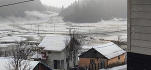 Çiğdem Yaylası beyaza büründü