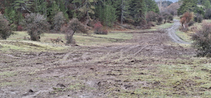 Karagöl Yaylası Kızak Şenliği için pist düzenlemesi yapıldı