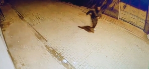 Adana'da evin camlarına taş atıp kaçtı: O anlar kamerada